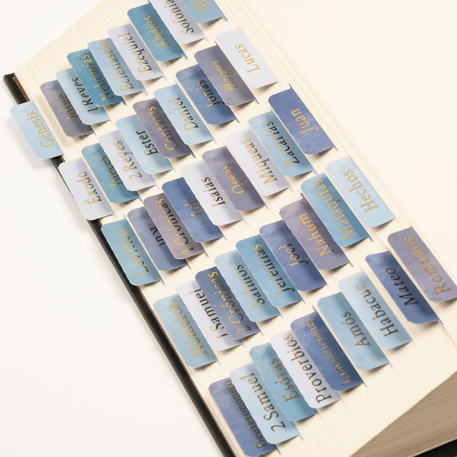 Lumintutu Laminated Bible Tabs - Large Print Bible Study & Journaling Supplies for Women & Men | Old & New Testament Index Tabs | Christian Gift for Bible Study Groups, Church Events & Personal Devotion (Spanish, Watercolor Blue)