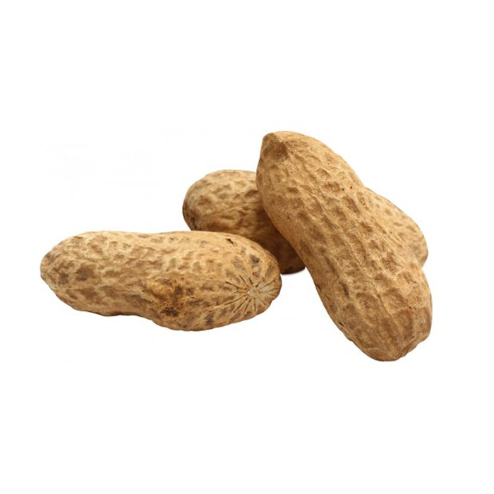 Brown's Natural Unsalted Whole Peanuts for Wild Birds - 2 lb Bag - High Protein Bird Food for Woodpeckers, Blue Jays & Cardinals - Perfect for Backyard Bird Feeders & Wildlife Gardens