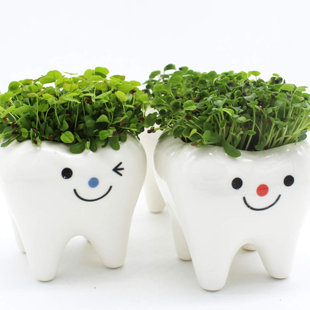 Garneck Ceramic Tooth Planter Pots - Set of 2, Creative Tooth-Shaped Flower Pots for Succulents, Cacti & Small Plants - Unique Home & Office Decor for Desks, Windowsills & Gifts