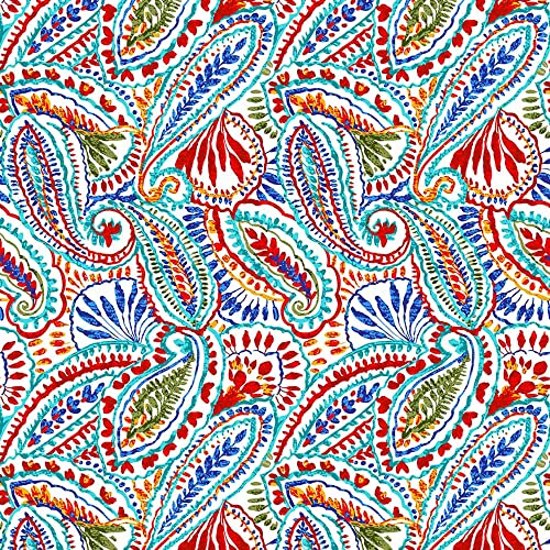 A.paisley