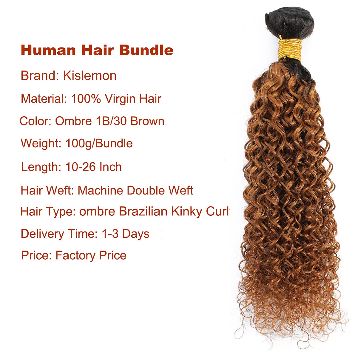 Kinky Curly Human Hair Bundles with Closure 16-20 Inch | Ombre 1B30 Brazilian Virgin Hair | 4x4 Swiss Lace Closure | Perfect for Protective Styles & Natural Hair Extensions | Great for Weddings, Parties & Daily Wear
