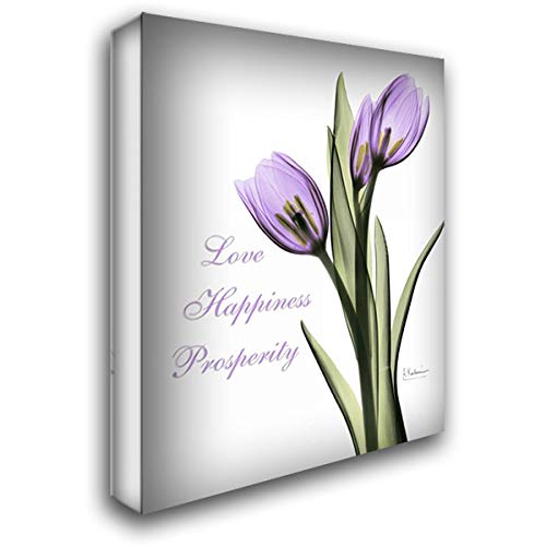 Albert Koetsier 28x35 Large Gallery Wrapped Stretched Canvas Art - Purple Tulips Love Happiness Painting - Perfect for Living Room, Bedroom & Office Wall Decor