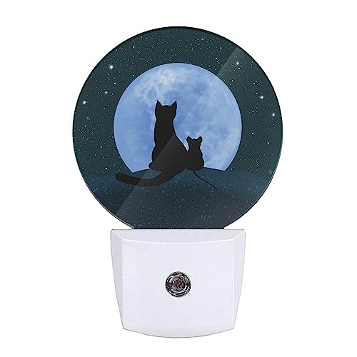 Cats Sitting On Moon