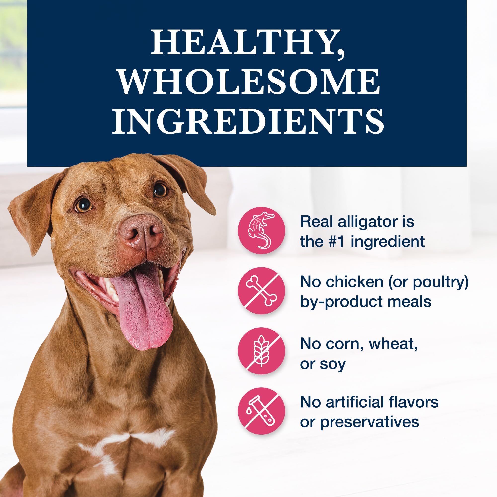 Blue Buffalo Natural Veterinary Diet NP Novel Protein Dry Dog Food for Food Sensitivities - Alligator Recipe (6-lb Bag) - Vet Prescription Required | Ideal for Dogs with Allergies & Digestive Issues | Perfect for Sensitive Stomachs & Skin Conditions