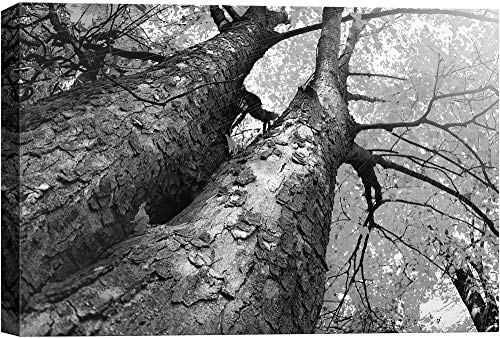Base06-2103-nature-yuk02