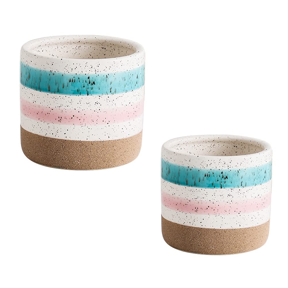 DOITOOL 2 Pack Ceramic Flower Pots - Small Decorative Planters for Succulents, Cactus, Herbs | Desktop Home Office Decor, Gift Idea for Plant Lovers