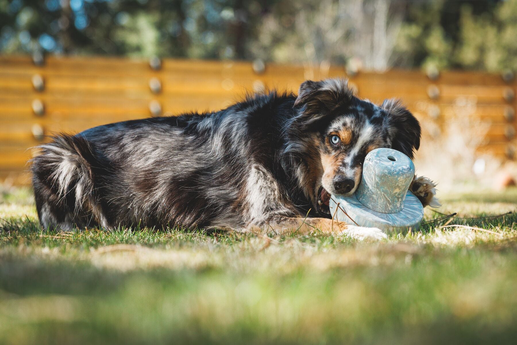Ruffwear® Porcini™ Dog Toy - Interactive Puzzle Feeder & Treat Dispenser for Mental Stimulation - Gray Sky | Perfect for Training, Enrichment & Boredom Relief
