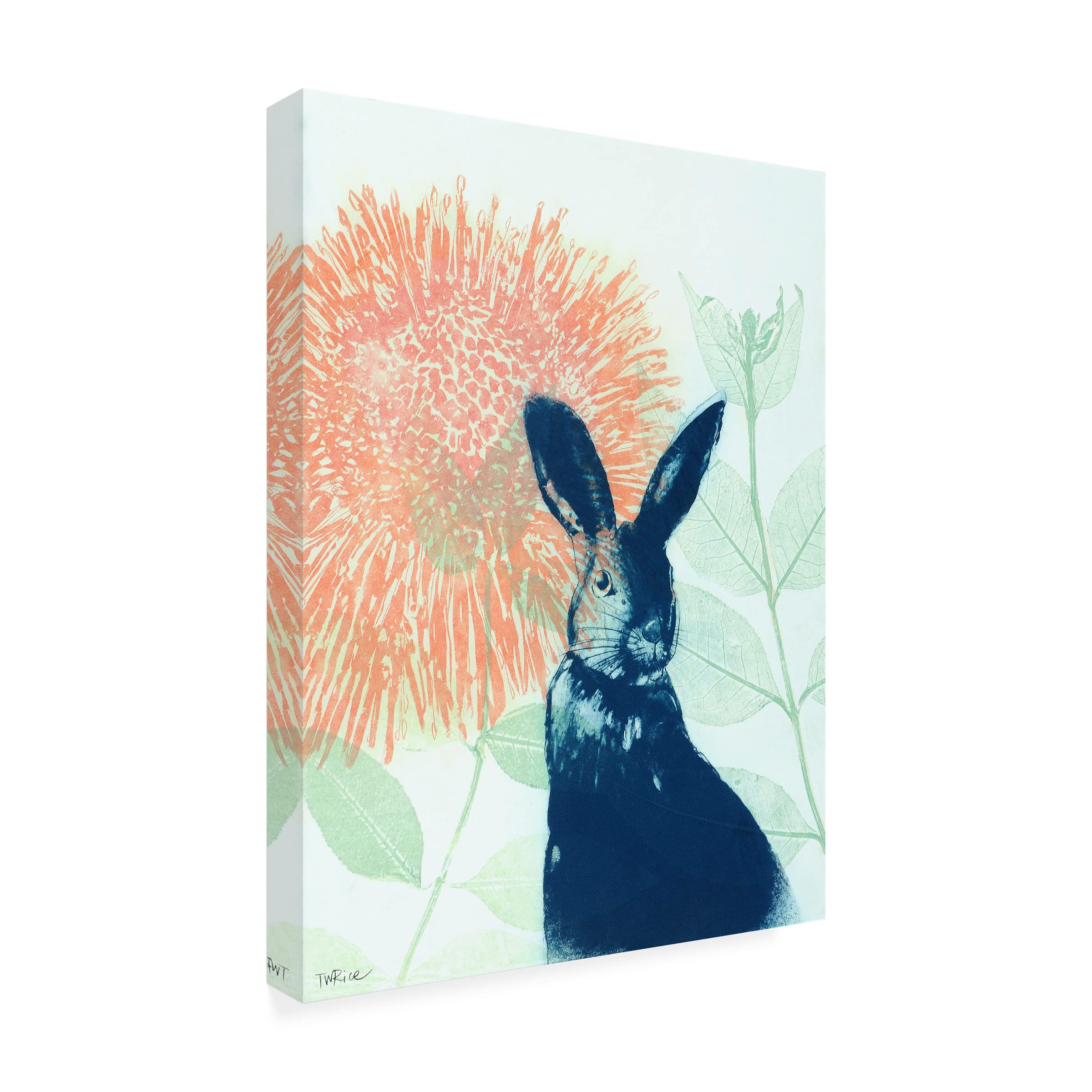 Trademark Fine Art 'Pink Waratah and Blue Rabbit' Canvas Wall Art by Trudy Rice - Floral and Animal Painting for Living Room, Bedroom, and Office Decor