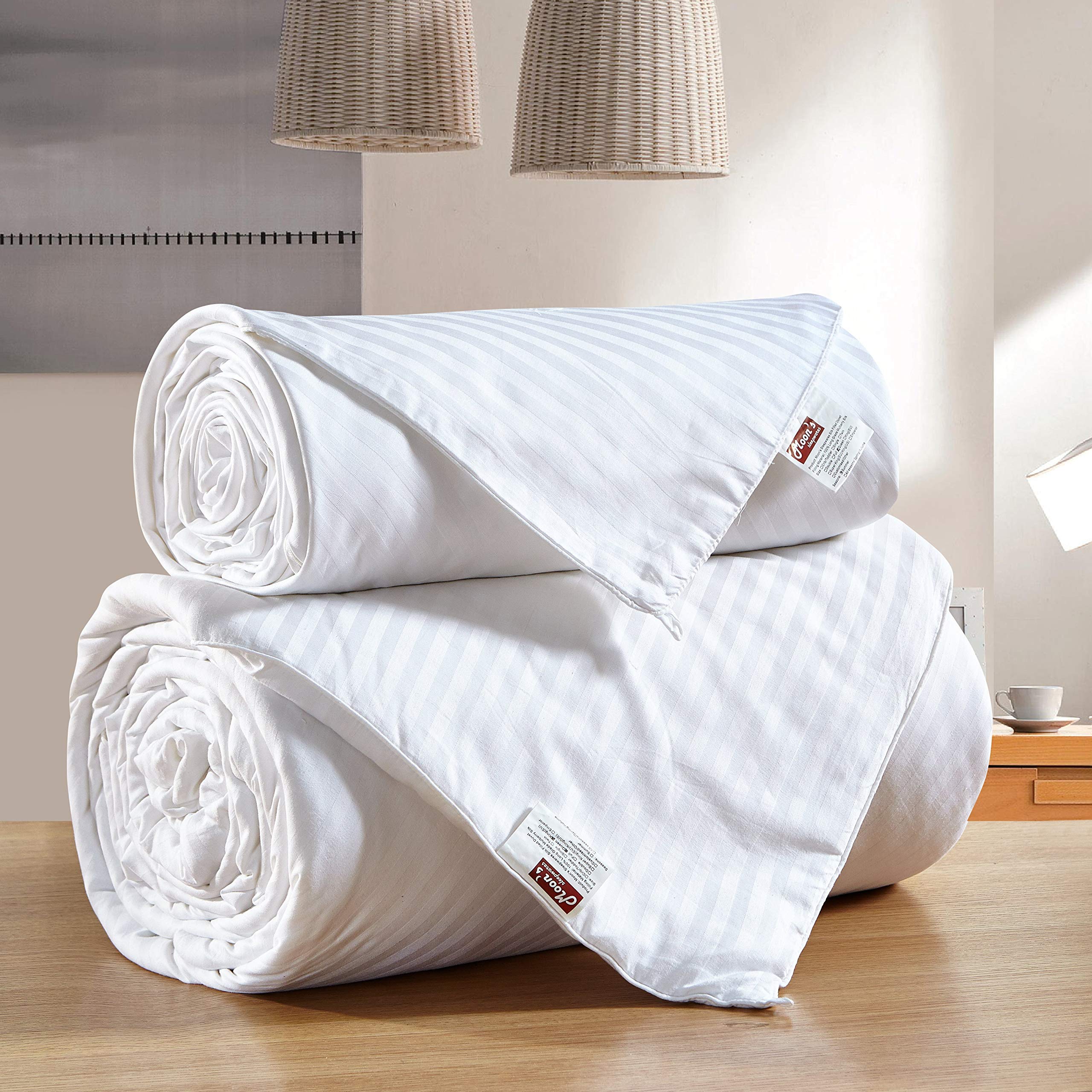 Premium 100% Mulberry Silk Comforter Set - Twin Size (59
