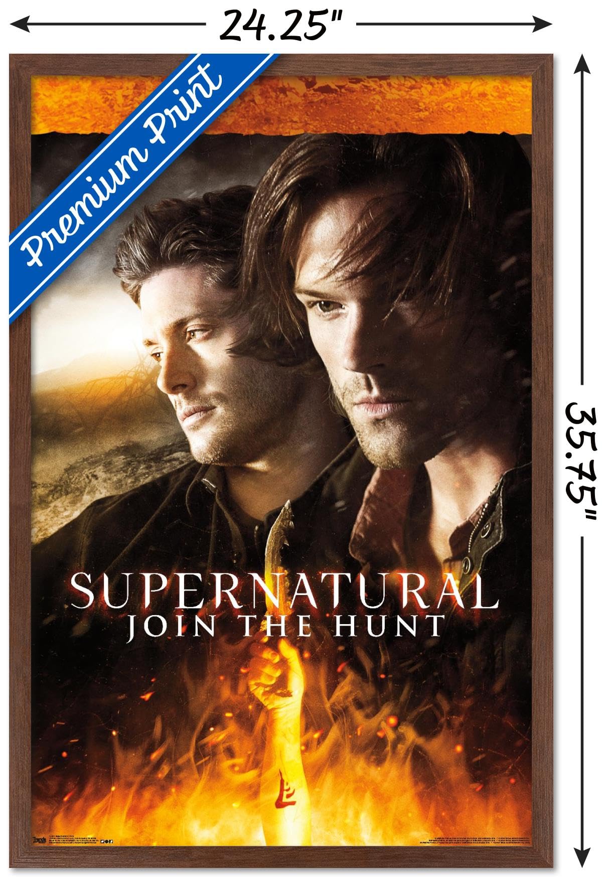 Trends International Supernatural - Fire Wall Poster, 22.375