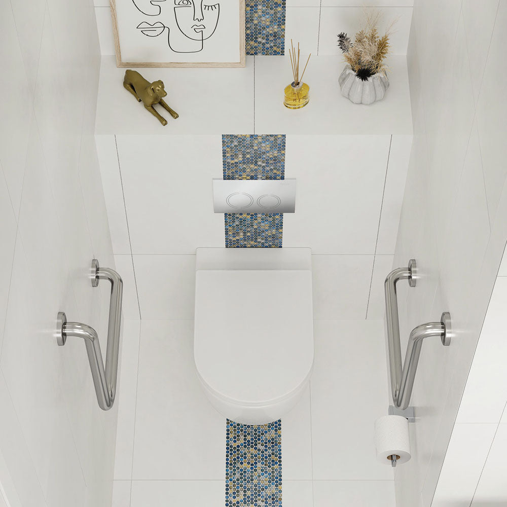 Fienza K025 PS 2 Alix Wall-Mounted Toilet Suite with Slim Seat and P-Trap - Modern Space-Saving Bathroom Solution for Small Bathrooms and Contemporary Homes