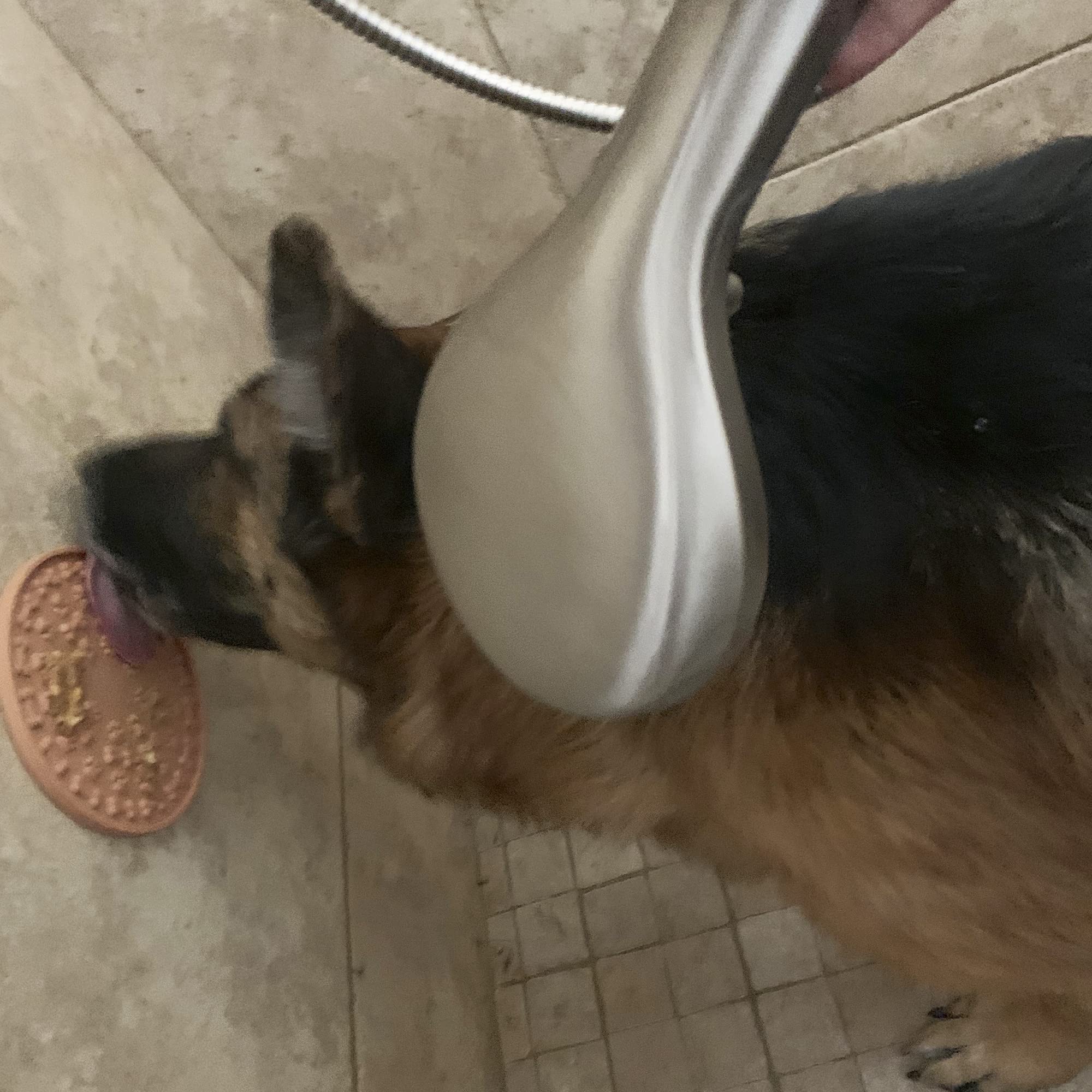 JALOUSIE Slow Feeder Puzzle for Dogs and Cats - 3 Lick Mats & Bonus Food Dispensing Ball - Reduce Anxiety & Boredom - Slow Feeding Treats for Yogurt, Peanut Butter - Perfect for Mealtime, Travel & Training Sessions