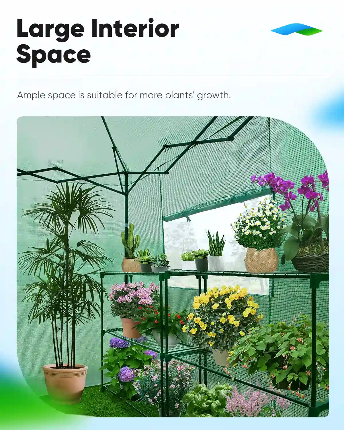 Pop Up Portable Walk in Greenhouse - Easy Setup Indoor Outdoor Garden Greenhouse for Plants, Flowers & Vegetables - Perfect for Patio, Backyard & Balcony Gardening