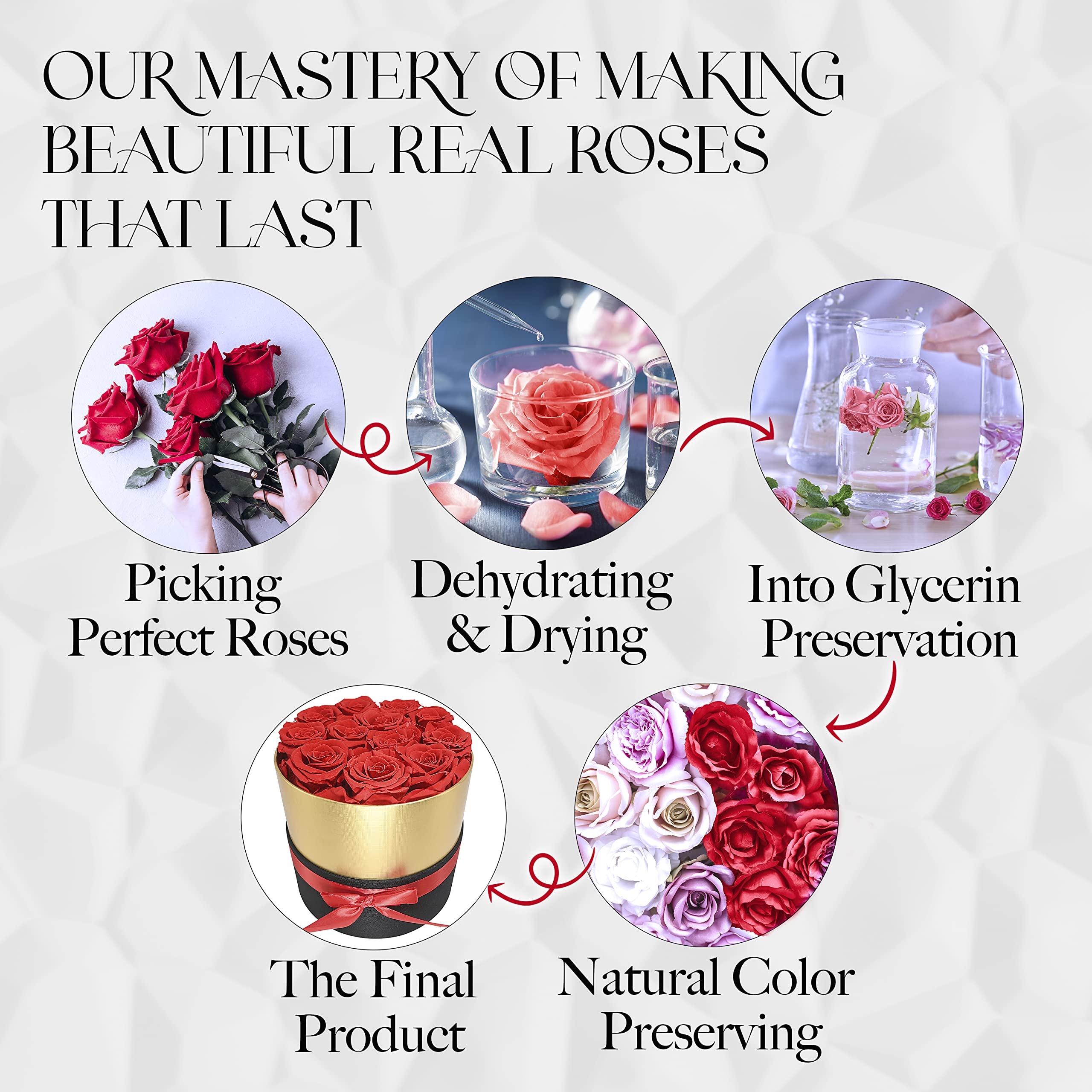 Eternal Preserved Roses in a Gift Box - Real Touch Forever Roses for Women, Romantic Birthday & Anniversary Gifts for Her, Valentine's Day Present - Perfect for Home Decor, Wedding Centerpieces, and Special Occasions