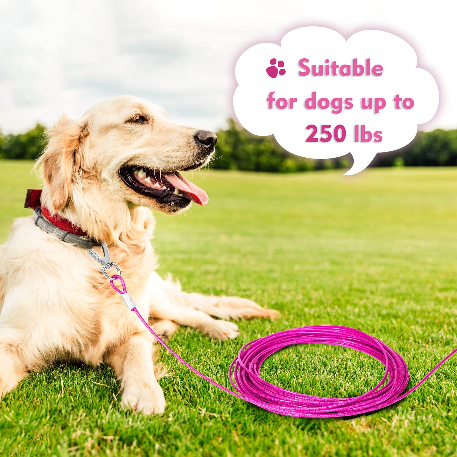 Heavy Duty 30FT Chew Proof Dog Tie Out Cable - Long Durable Dog Leash for Outdoor Training, Yard & Camping | Secure Runner for Large Dogs | Perfect for Backyard, Hiking & Travel Adventures