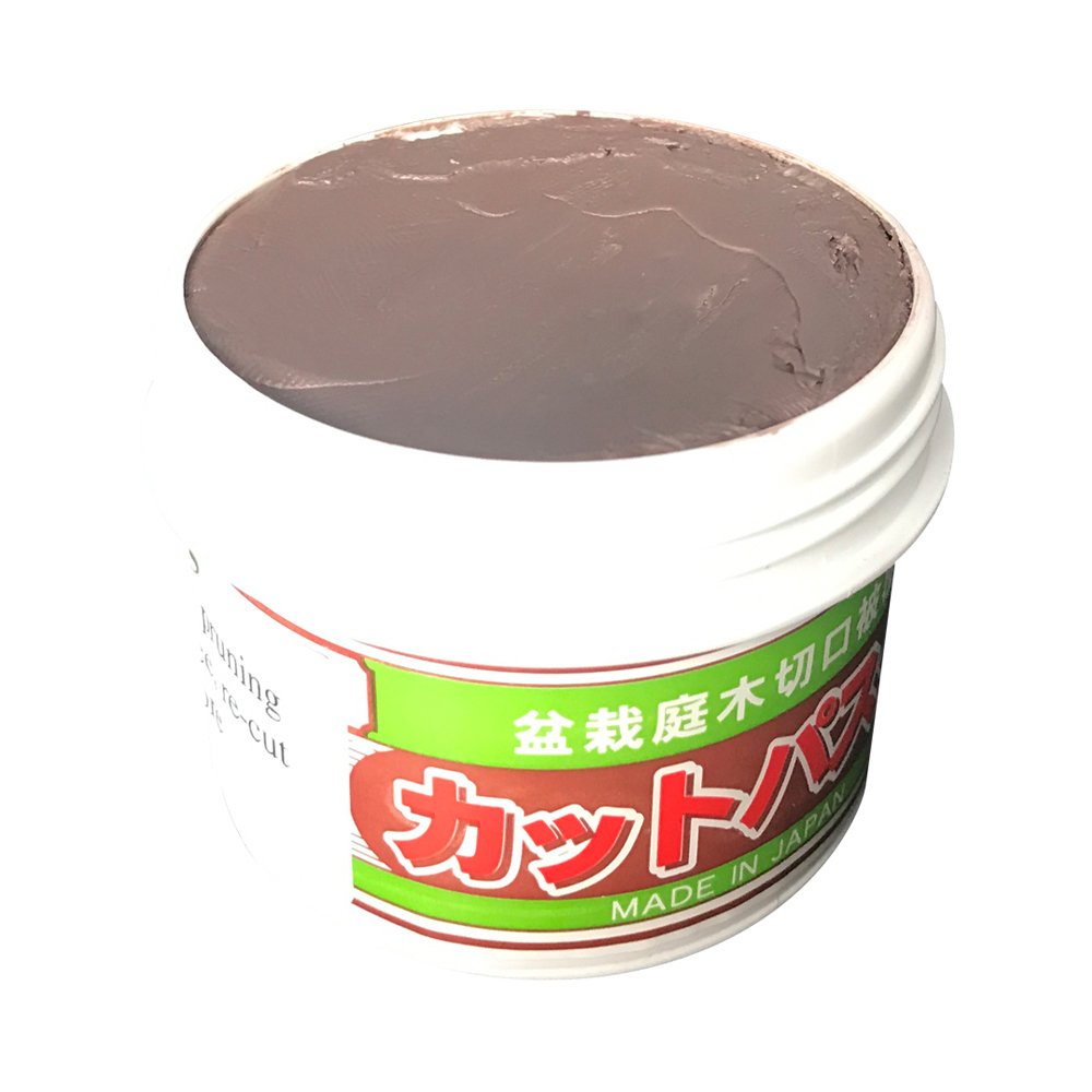 Bonsai Cut Paste for Deciduous Trees - 160g Japanese Made Pruning Sealer | Bark Wound Protection & Tree Care Putty for Perimeter Cuts | Ideal for Gardening, Landscaping & Bonsai Maintenance