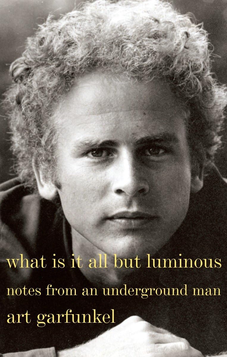 What Is It All but Luminous: Notes from an Underground Man - Thought-Provoking Literary Memoir for Book Clubs & Philosophy Enthusiasts