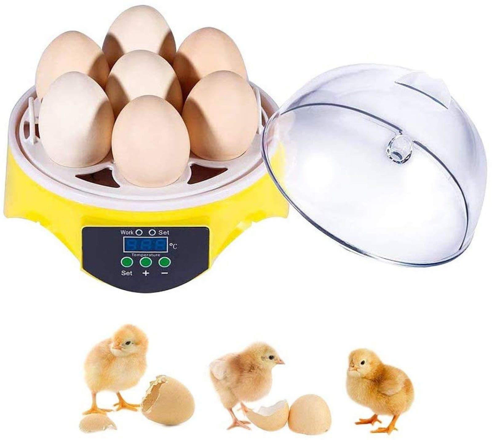 FOTLL 7 Egg Digital Mini Incubator - Automatic Poultry Hatcher for Chicken, Duck, Goose & Quail Eggs with US Plug | Perfect for Home Farming, Classroom Projects & Backyard Poultry Raising