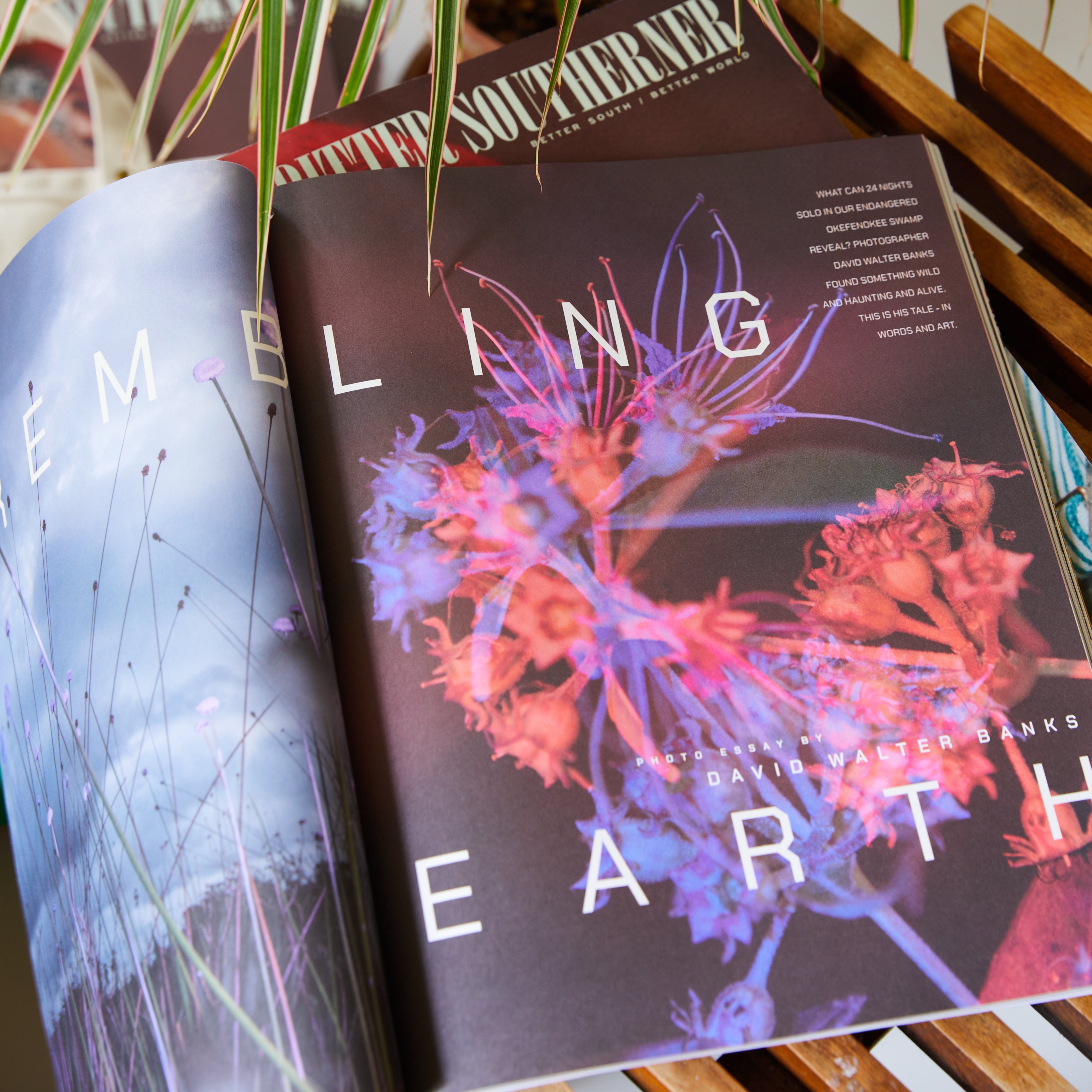 BS Magazine – Issue No. 7 | Collector's Edition | Latest Trends & Stories | Perfect for Coffee Table Reading & Gift Giving