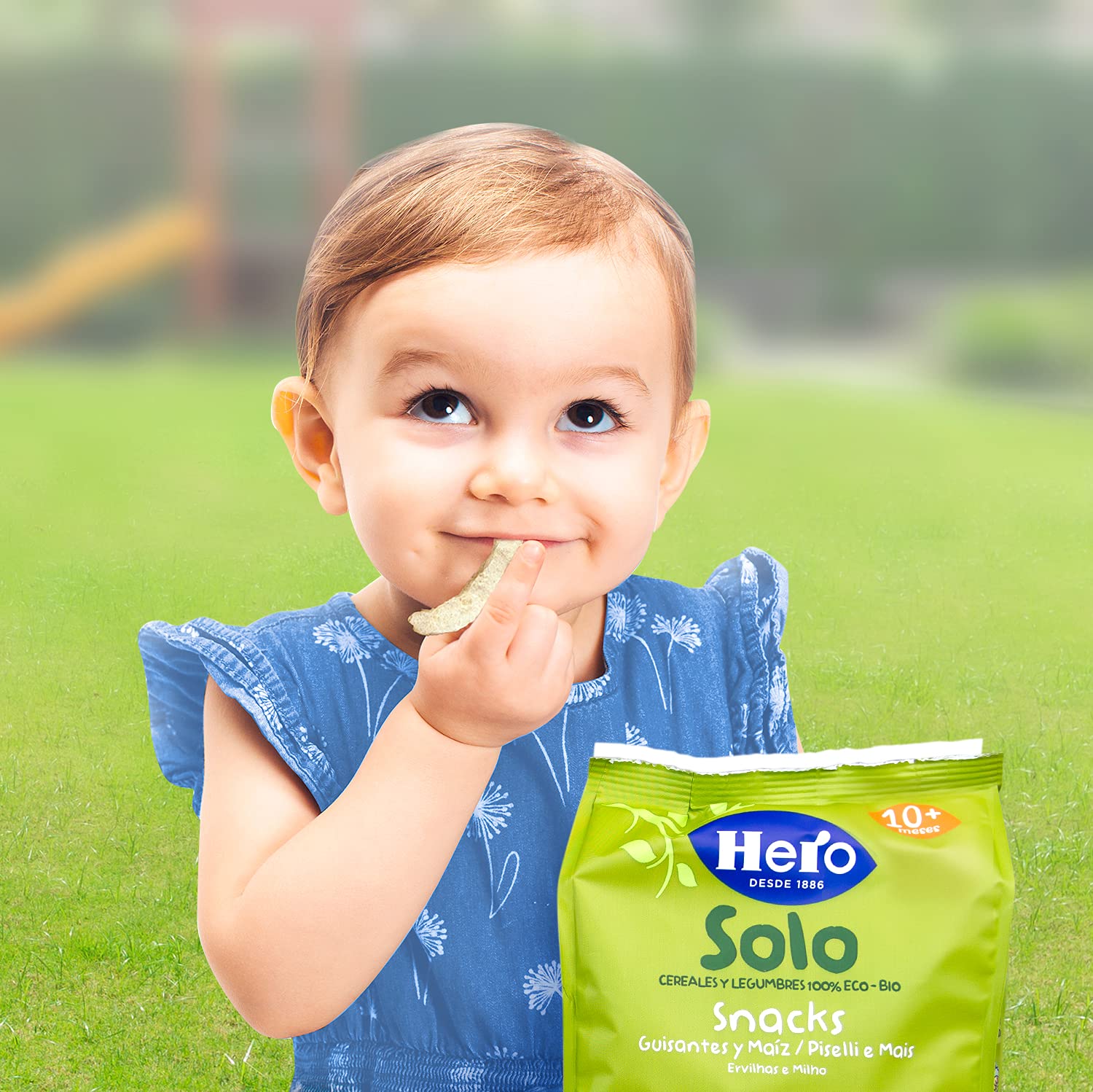 Organic Lentil Snacks H.Solo 50G Tray 6-Pack | Healthy Vegan Protein Chips | Perfect for On-the-Go Snacking, Lunch Boxes & Keto Diets