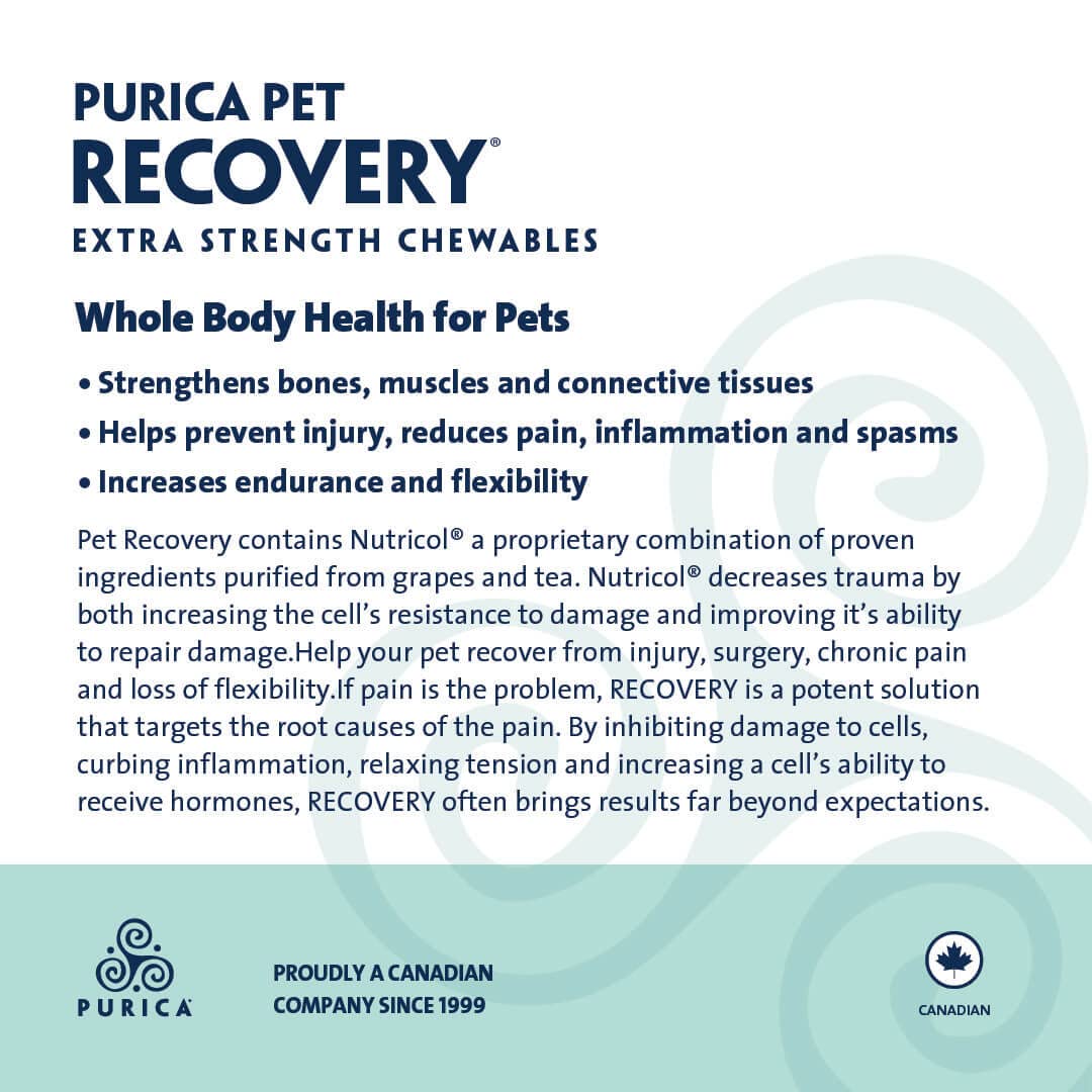 PURICA Pet Recovery Extra Strength - Advanced Joint Supplement for Dogs & Cats | Hip & Joint Care Support | Improves Mobility & Overall Health | 360 Count | Ideal for Active Pets & Senior Animals