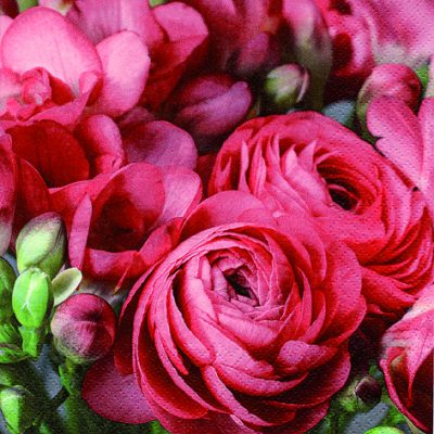 20 Pack Red Freesia & Persian Buttercup Floral Printed Paper Lunch Napkins - Elegant Dinner Party, Wedding, Bridal Shower, and Home Decor Table Setting Accessories