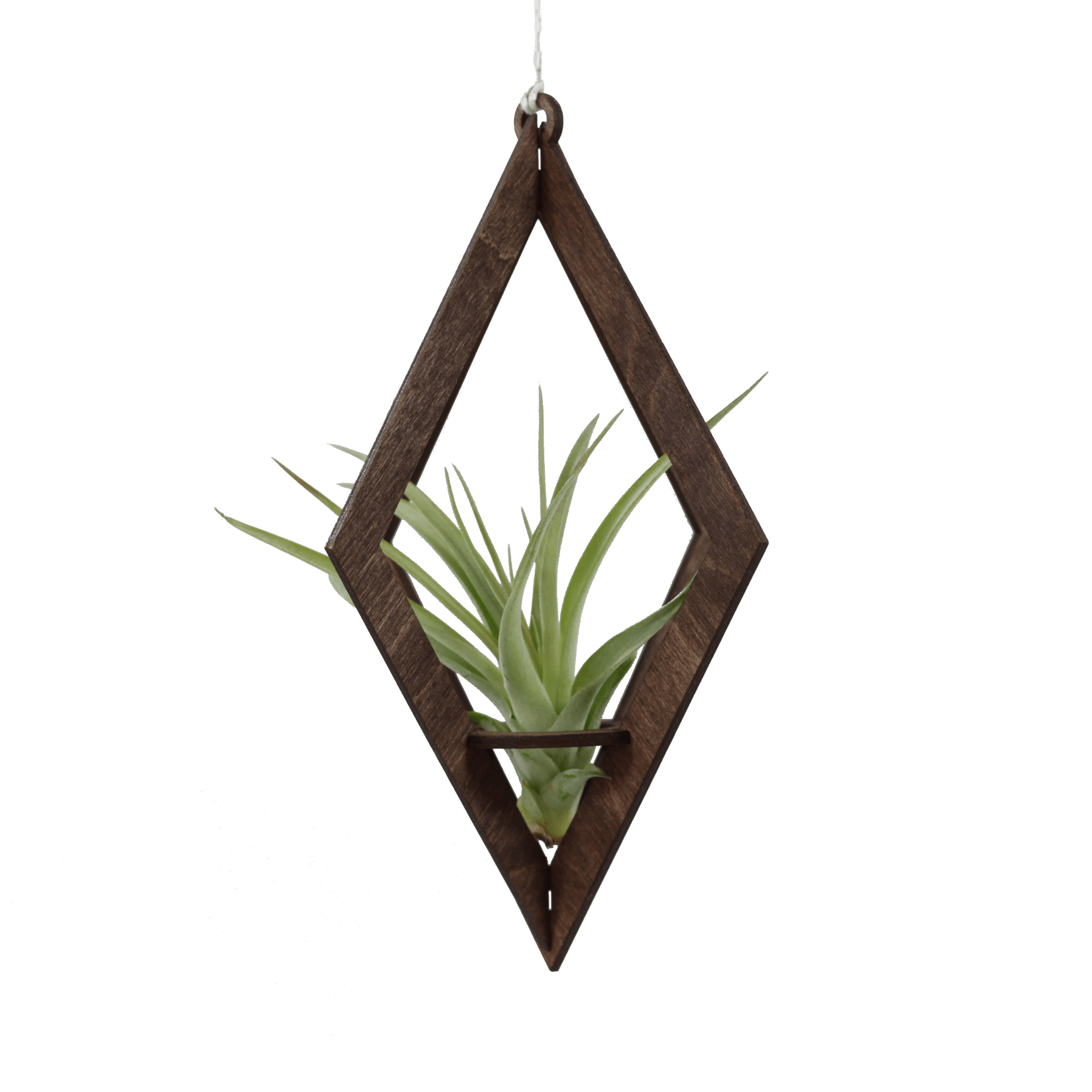 Air Plant Hanger Diamond Walnut - Handmade Macrame Plant Holder for Tillandsia, Succulents & Home Decor - Perfect for Boho, Living Room, Bedroom & Office Decor