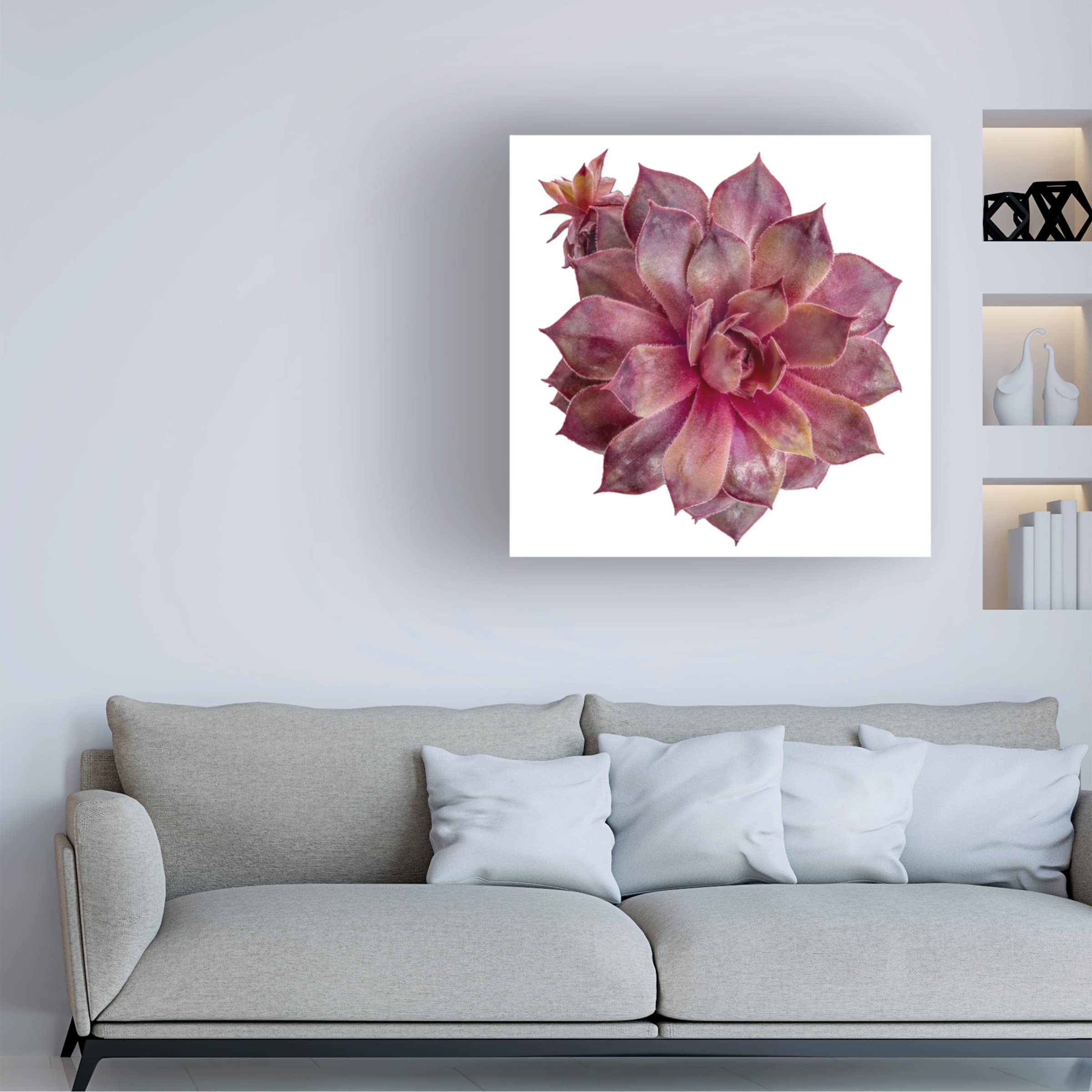 Trademark Fine Art 'Succulent Cut Out 06' Canvas Wall Art Print by Cora Niele - Modern Botanical Decor for Living Room, Bedroom & Office