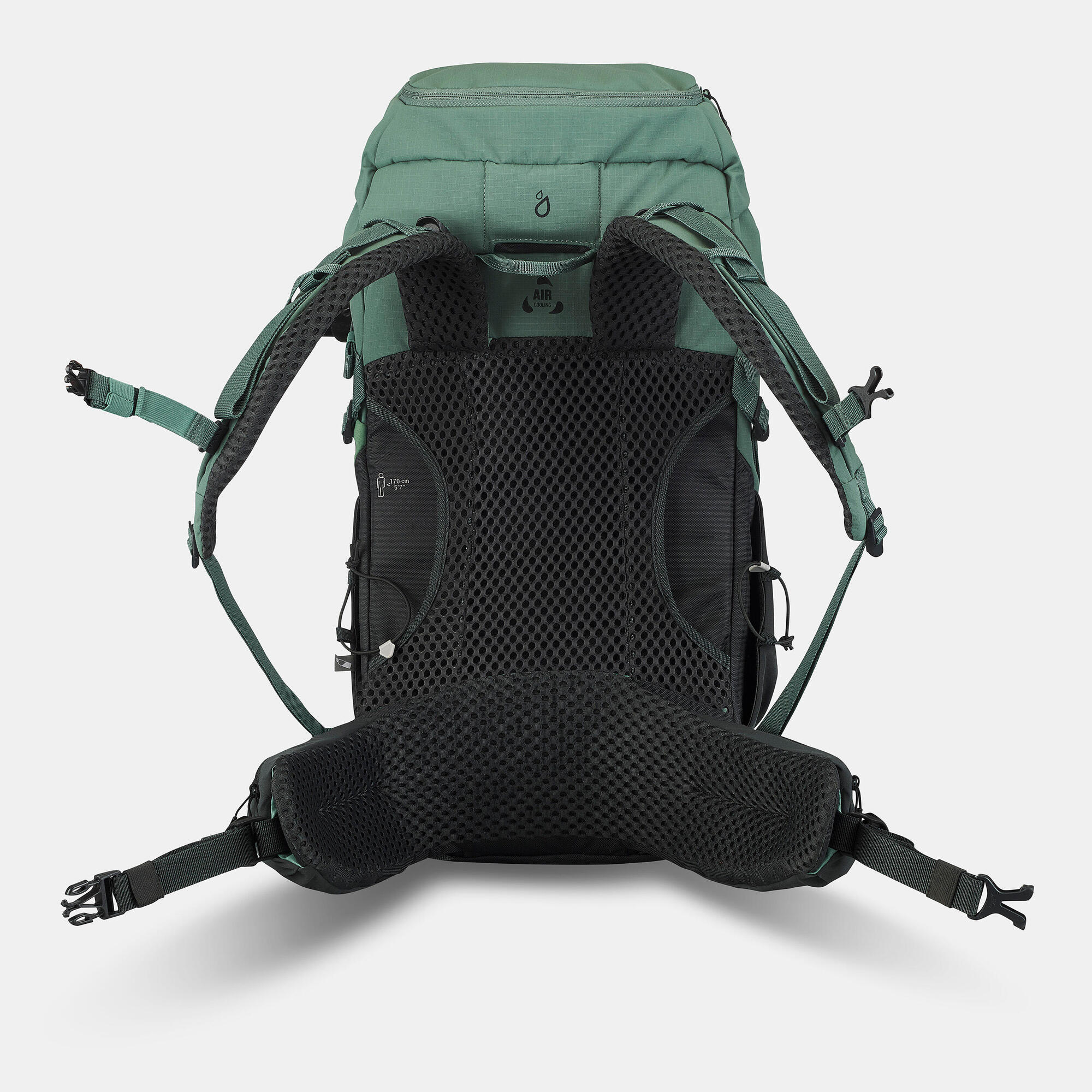 Quechua MH500 30L Lightweight Hiking Backpack - Waterproof & Durable for Outdoor Adventures, Camping & Travel