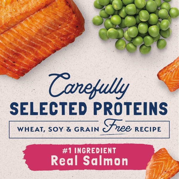 Natural Balance Limited Ingredient Salmon & Green Pea Recipe Canned Cat Food - Grain Free, Hypoallergenic Wet Cat Food for Sensitive Stomach - Perfect for Indoor Cats & Kittens with Food Allergies