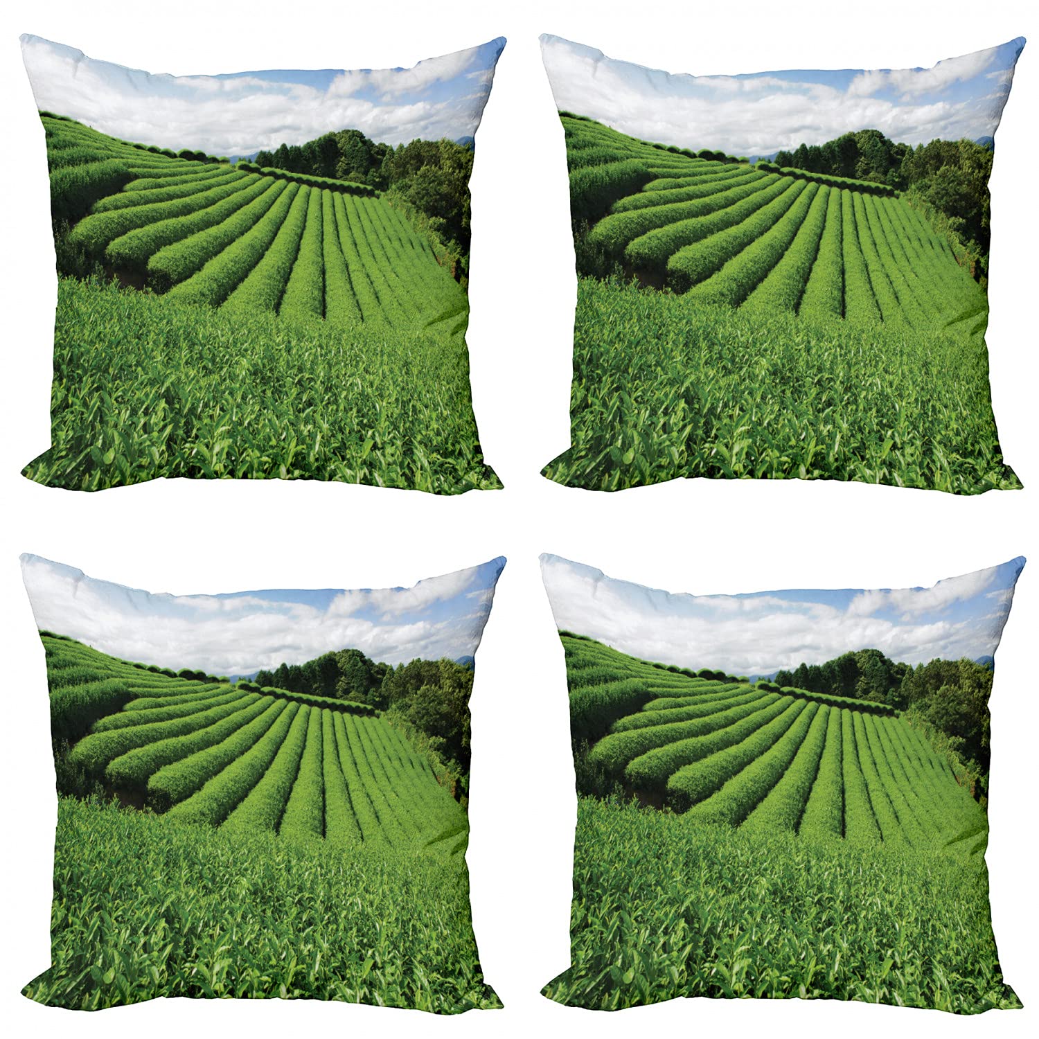 Ambesonne 4-Pack Nature Landscape Throw Pillow Covers 20