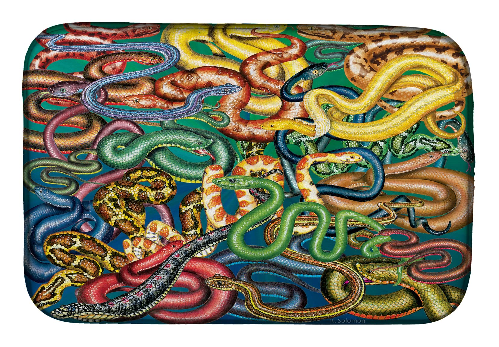 Snakes Design Absorbent Dish Drying Mat - 14 x 21 Inch Non-Slip Kitchen Countertop Pad | Quick Dry Dish Drainer for Sink, Counter Protection | Fun Reptile Theme for Modern & Farmhouse Kitchens