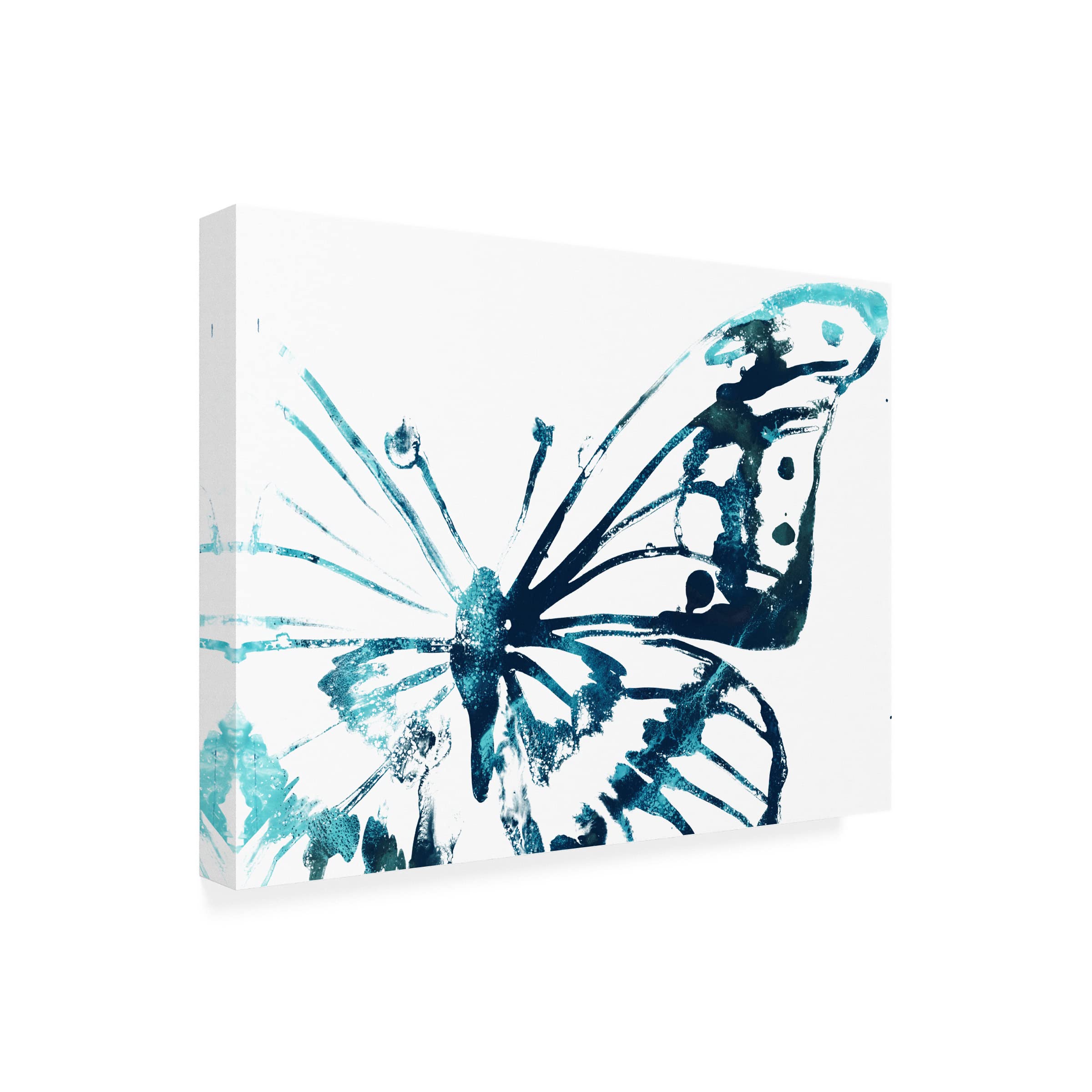 Trademark Fine Art 'Butterfly Imprint V' Canvas Wall Art by June Erica Vess - Stunning Butterfly Painting for Living Room, Bedroom & Office Decor