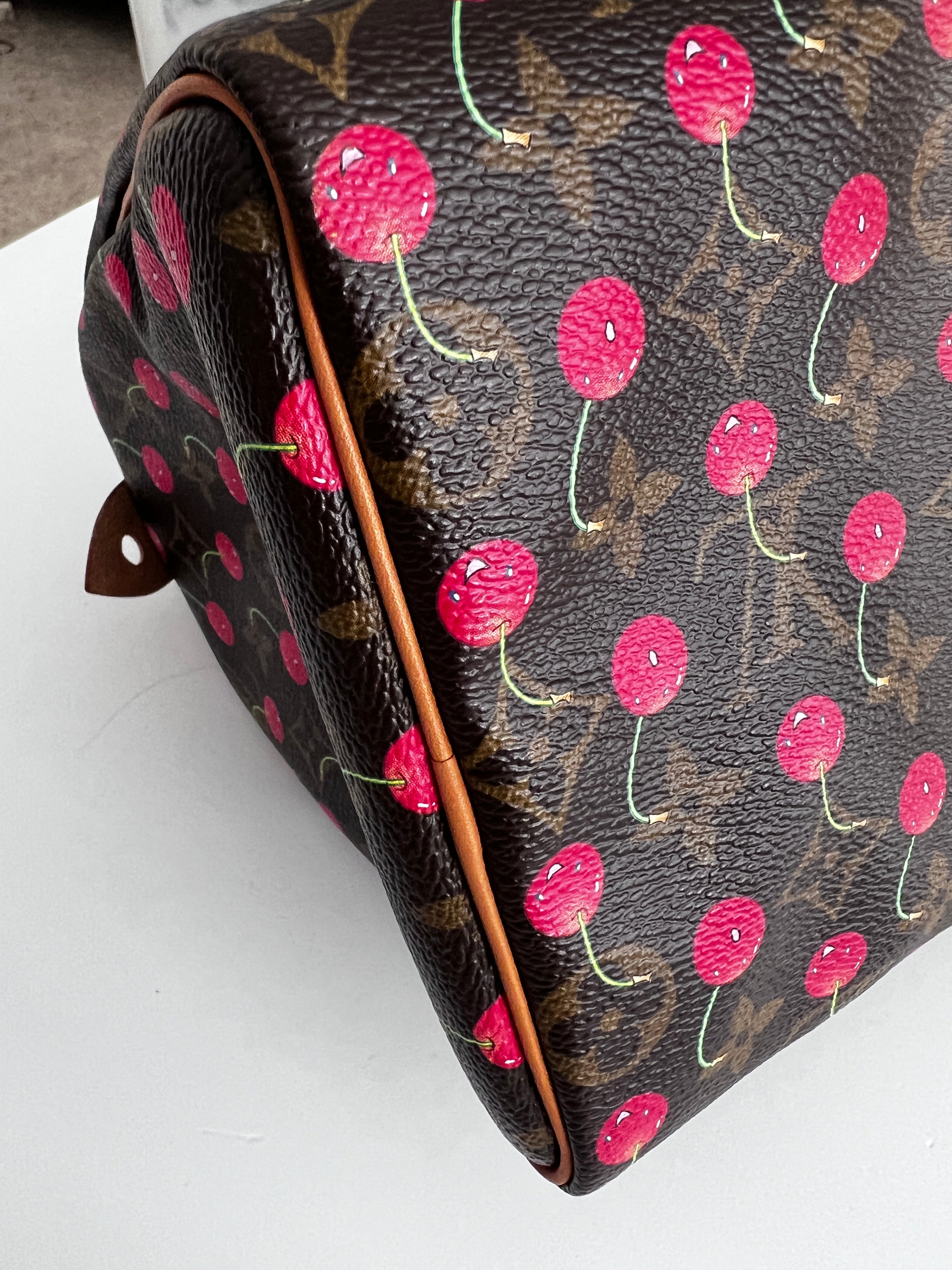 Louis Vuitton Monogram Cherry Speedy 25 Handbag - Stylish Crossbody Purse for Women, Perfect for Work, Travel & Everyday Use