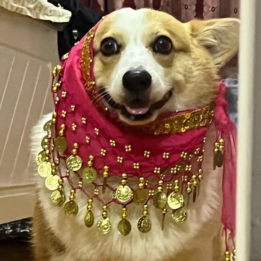 Corgi Dog Costume - Belly Dancer Skirt with Sequin Waist Chain & Butt Curtain, Passionate Puppy Hip Scarf for Shaking Dance, Perfect for Halloween, Parties, and Pet Performances