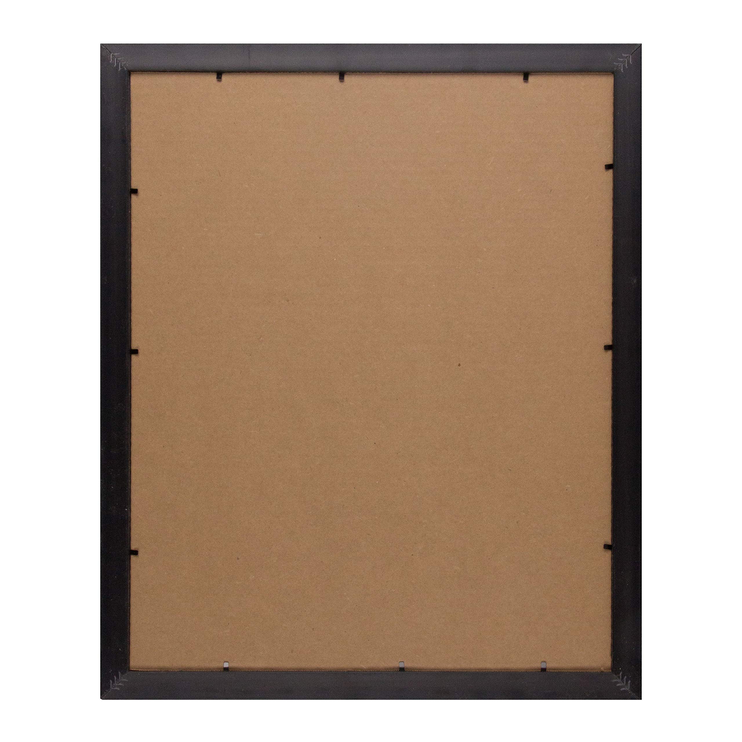 Frame USA Simply Poly Series 16x20 Polystyrene Poster Frames (Black) - Lightweight Wall Art Display for Home, Office, and Classroom Decor