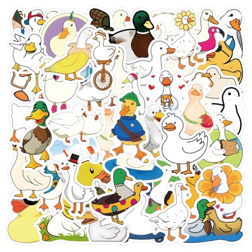Duck