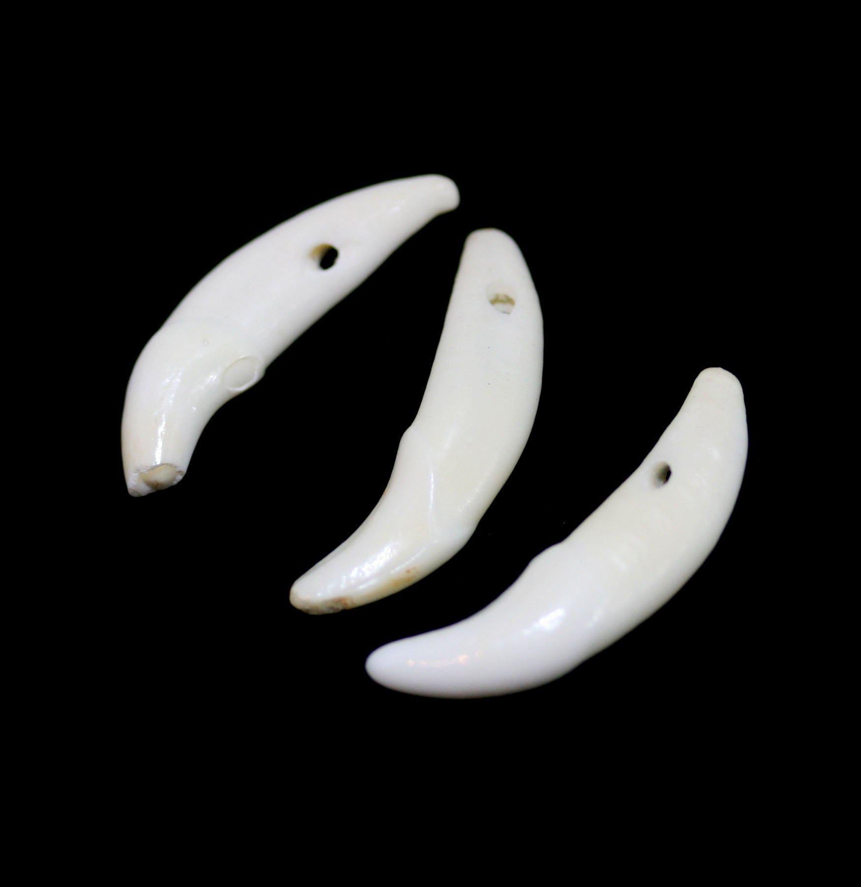 Drilled Canine Tooth Necklace - Handmade Viking Jewelry for Men & Women - Perfect for Cosplay, LARP, and Historical Reenactments