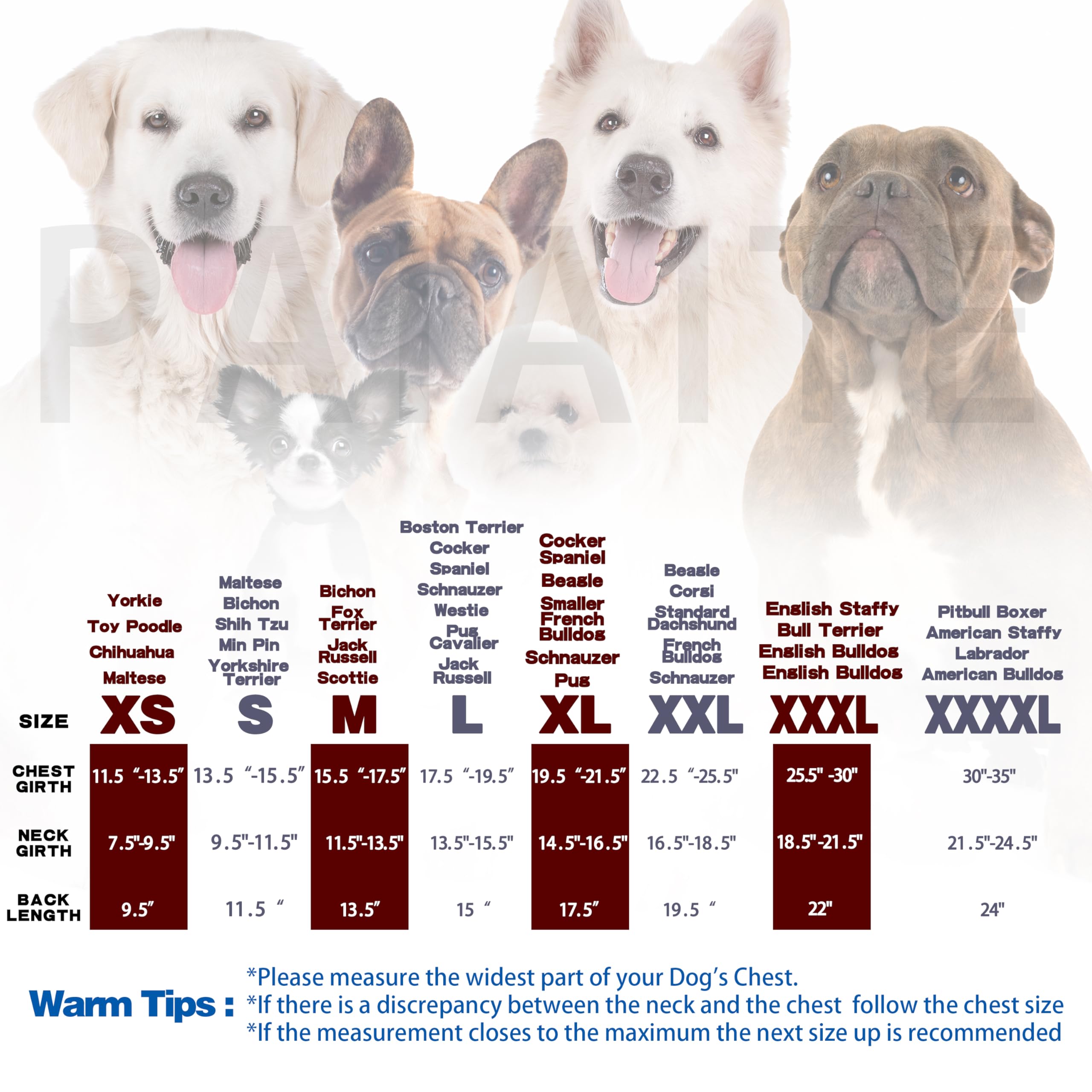 Premium Plaid Dog Hoodie - Soft Polycotton Fabric with Back Pocket & Leash Hole | Cozy Dog Sweatshirt for Small, Medium & Large Dogs | Trendy & Functional Pet Apparel for Winter Walks, Outdoor Adventures & Photo Shoots (Blue, Size M)