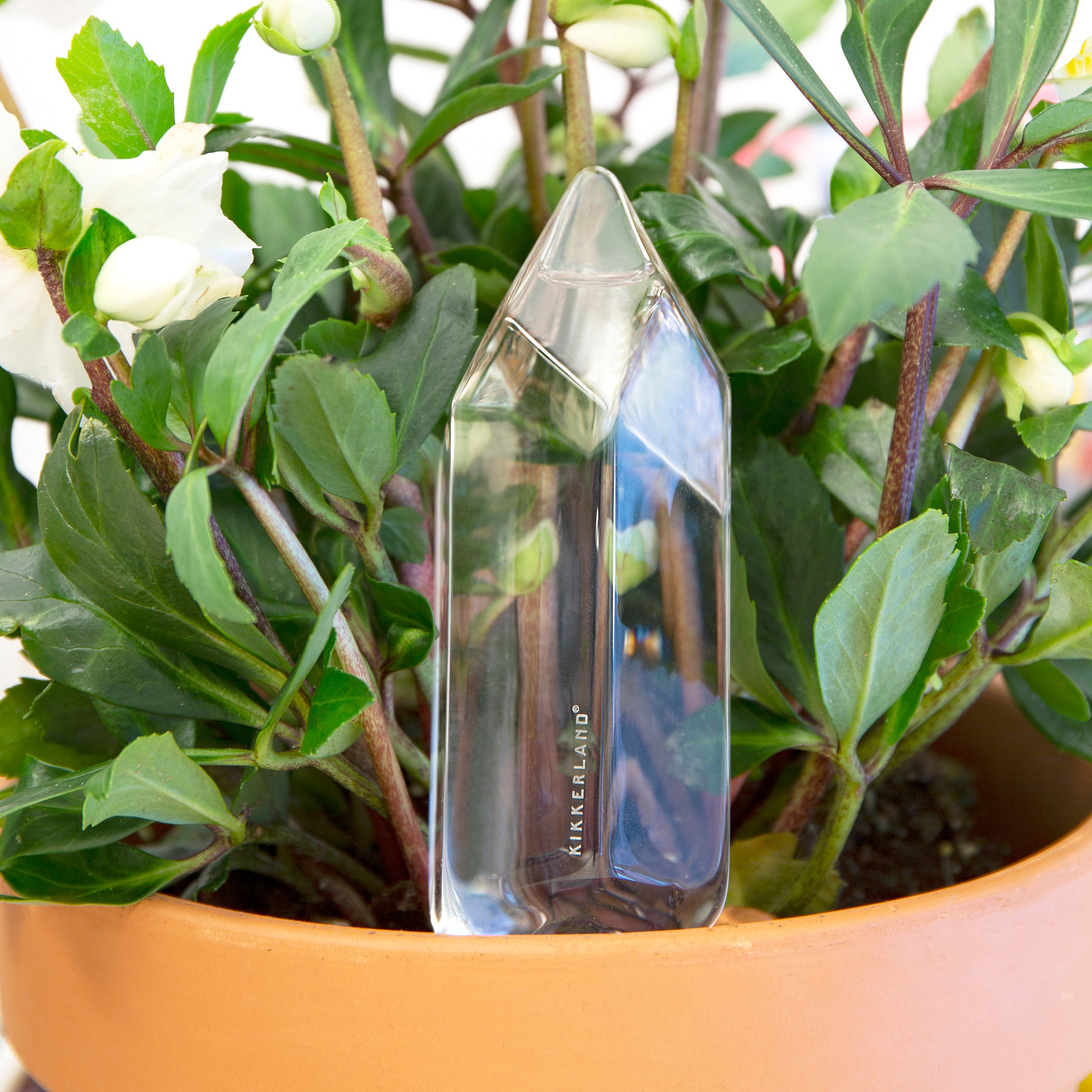 Premium Crystal Water Bottle - BPA-Free Glass Water Bottle with Crystal Infusion for Enhanced Hydration & Wellness - Perfect for Yoga, Meditation, and Daily Hydration