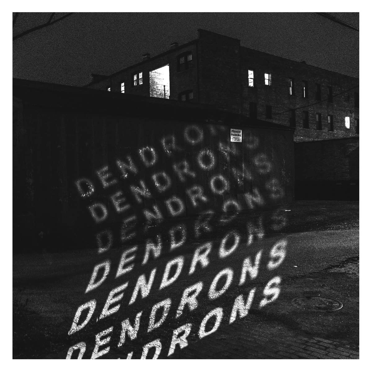 Dendrons Red & Black Opaque Galaxy Vinyl Records - Limited Edition Collectible Vinyl for Music Lovers & Audiophiles - Perfect for Home Listening, DJ Sets & Vinyl Collections