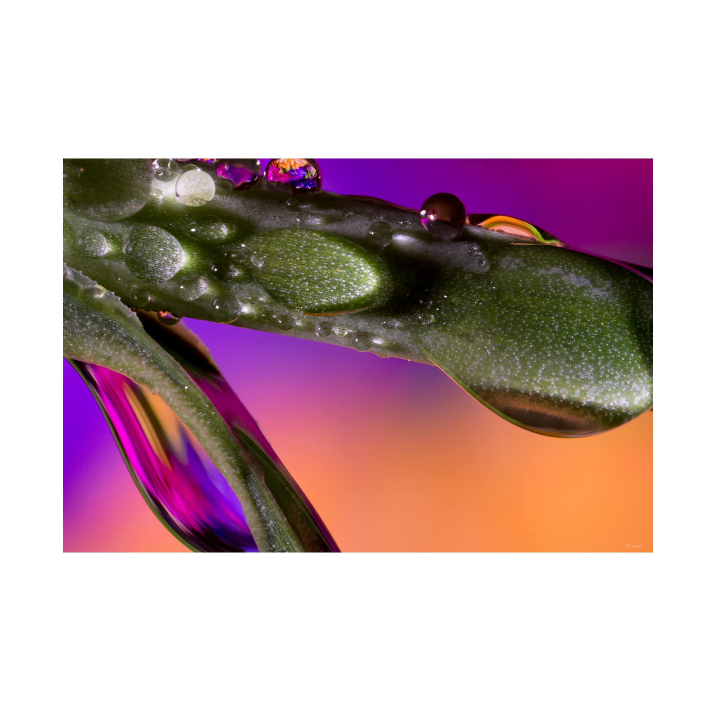Gordon Semmens 'Water Drops 02' Abstract Canvas Wall Art Print - 16x24 Inches - Modern Home & Office Decor for Living Room, Bedroom, Bathroom
