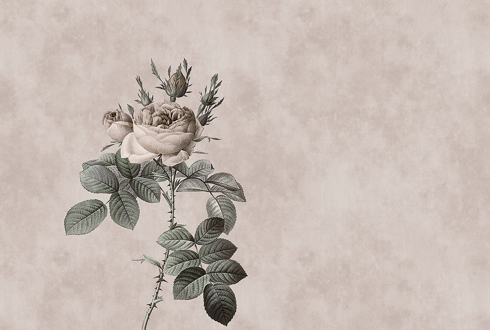 Walls By Patel Rose Wallpaper - Premium Floral Peel and Stick Wallpaper for Home Decor | Perfect for Bedroom, Living Room & Nursery