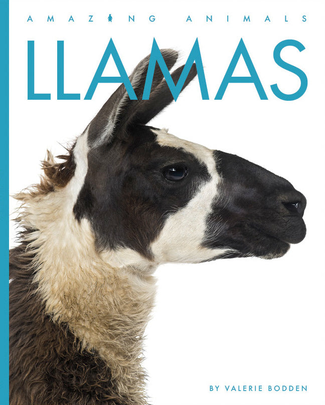 Llamas Book 9781640265684 - Learn About Llamas, Their Habitat & Behavior - Perfect for Animal Lovers & Kids Educational Reading