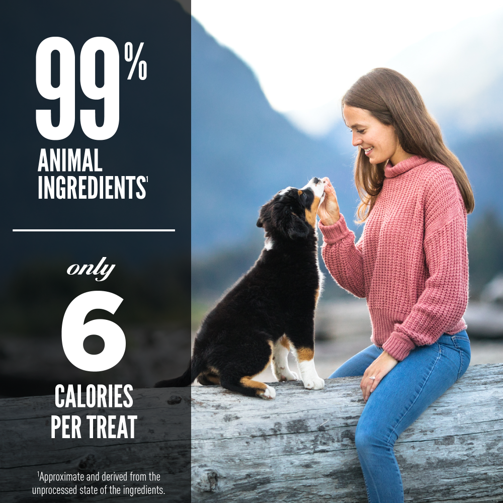 ORIJEN Freeze Dried Regional Red Dog Treats - High Protein Grain-Free Dog Snacks for Training & Rewards | Perfect for Small, Medium & Large Breeds