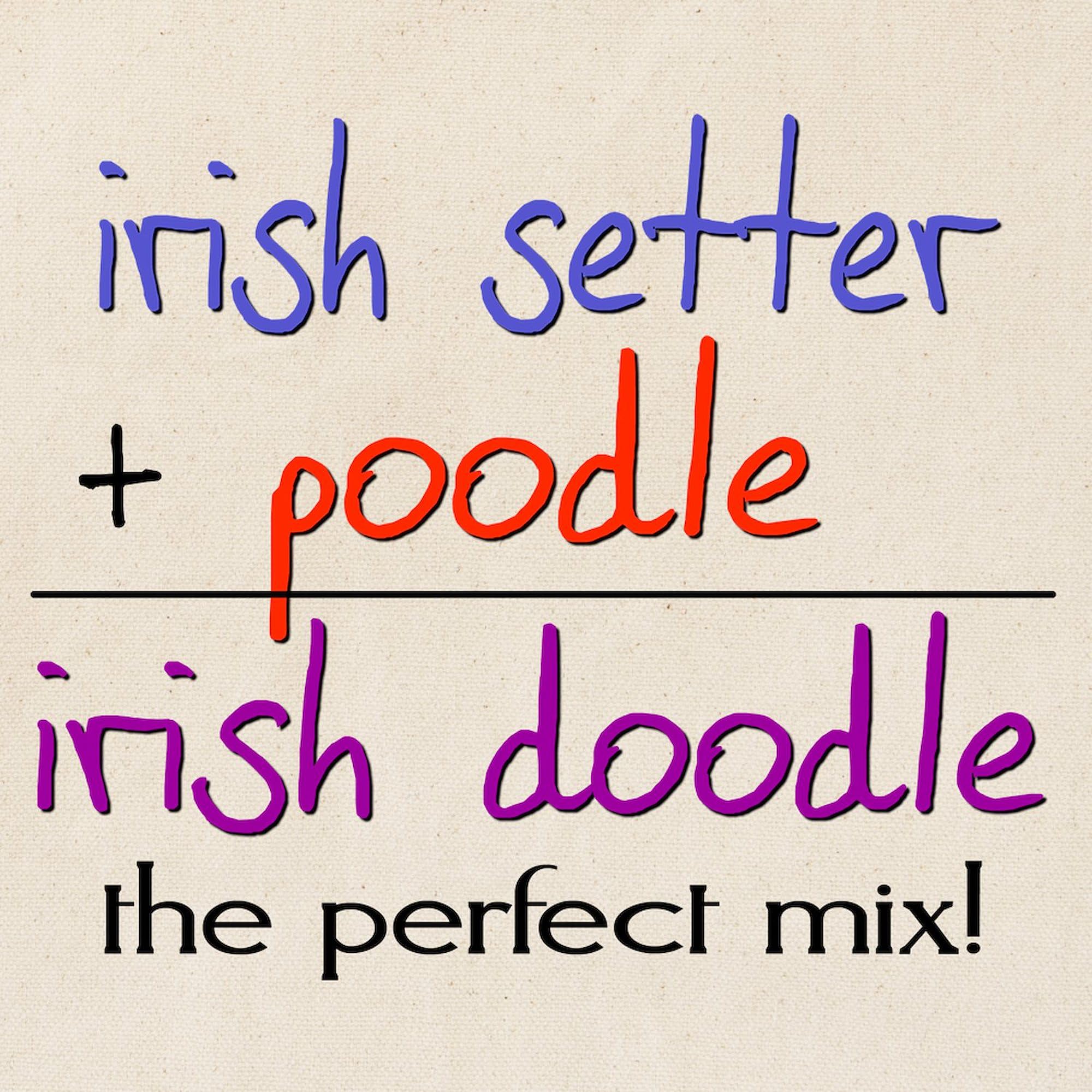 Irish Doodle PERFECT MIX Natural Canvas Tote Bag - Reusable Eco-Friendly Shopping Bag for Groceries, Beach & Daily Use
