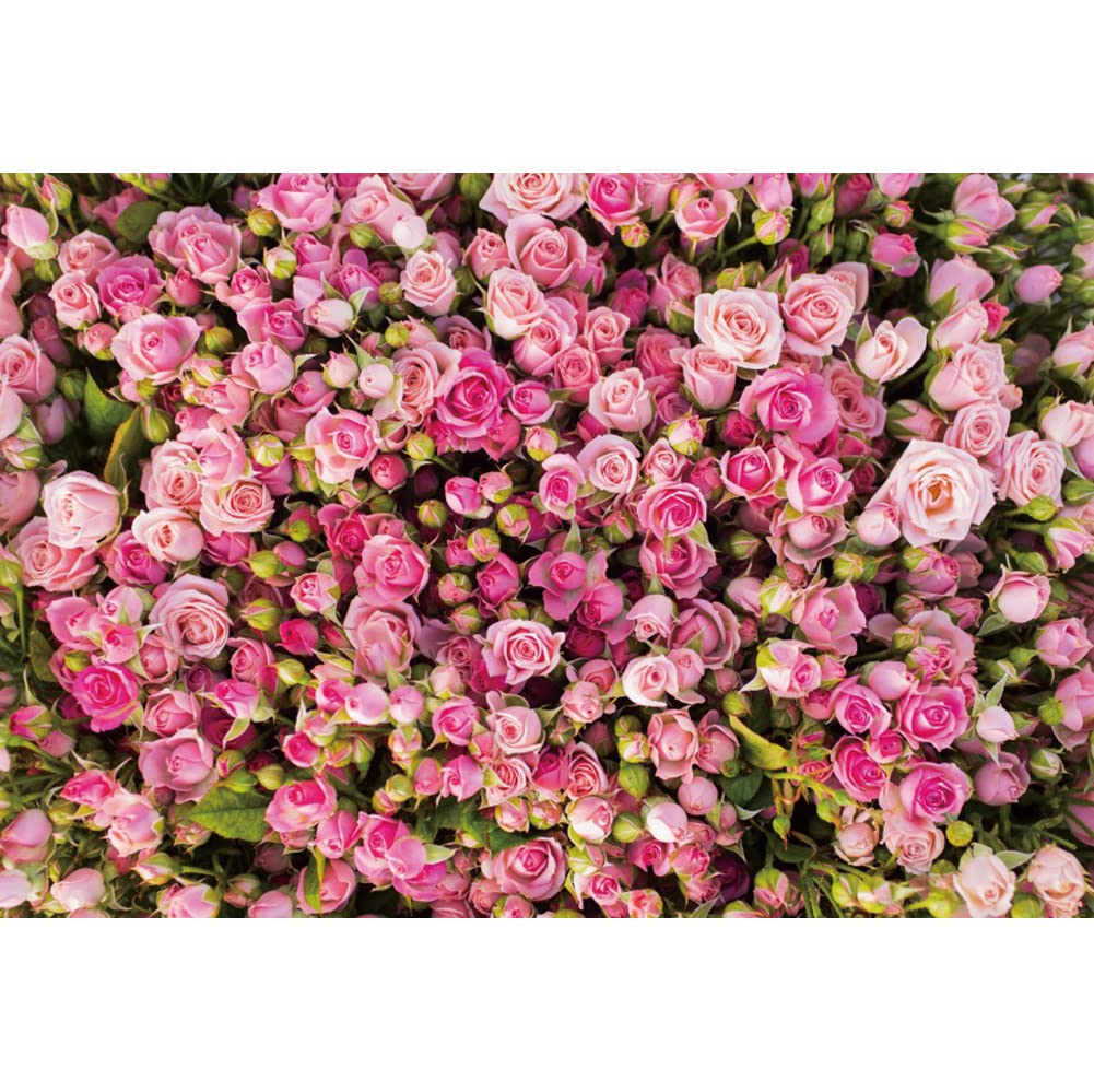 7x5ft Vinyl Romantic Pink Rose Blossom Floral Backdrop for Photography - Renaissance Rose Flower Bed Terrace Scene Background for Girls, Women Birthday Party, Portraits & Photo Booth Props | Perfect for Wedding Decor, Baby Showers & Social Media Content Creation