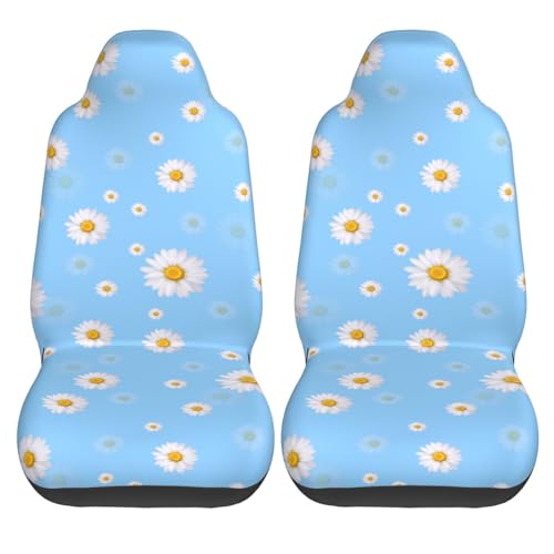 Daisy Blue