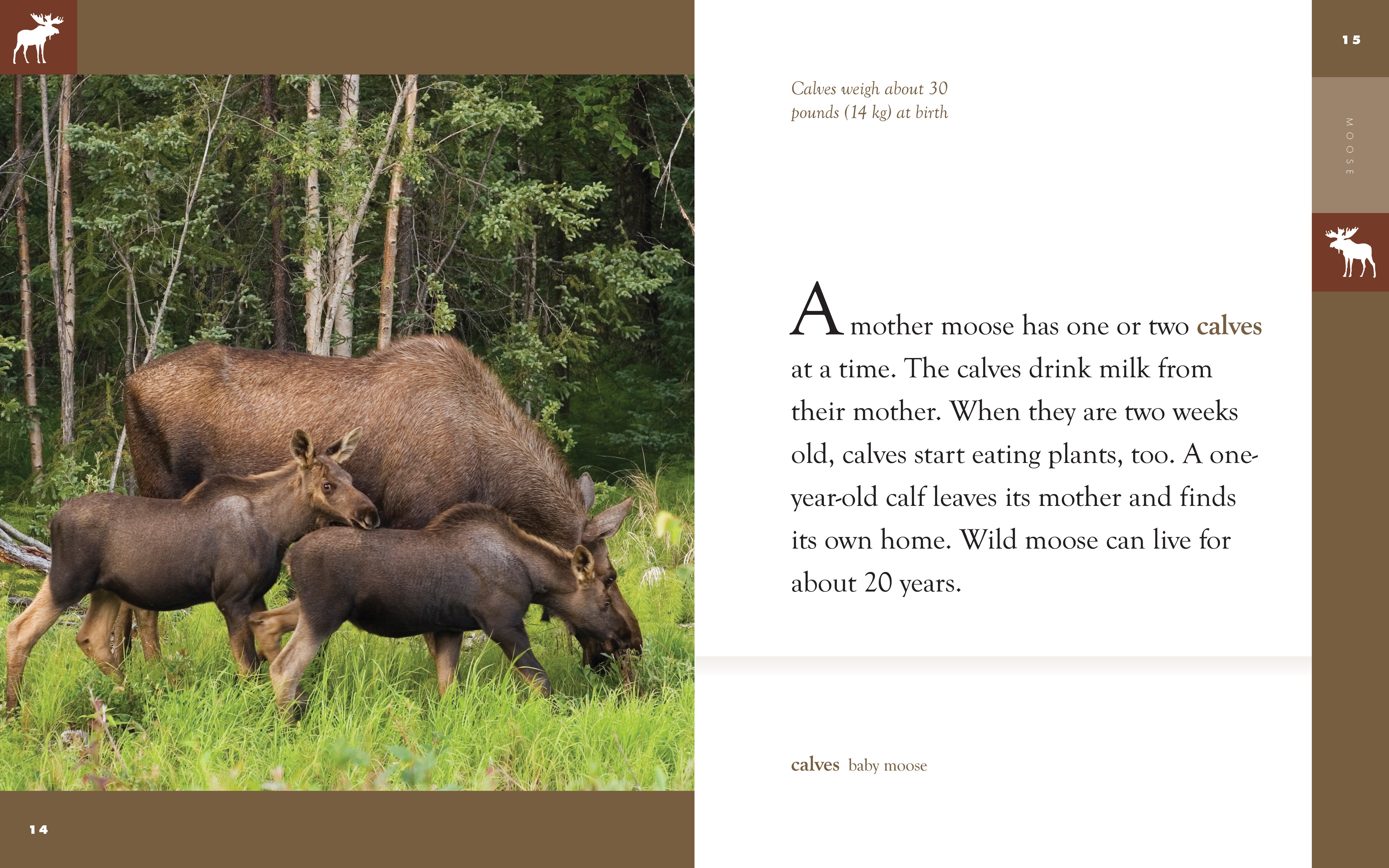 Amazing Animals (2014): Moose - Wildlife Documentary DVD - Perfect for Nature Lovers & Classroom Education