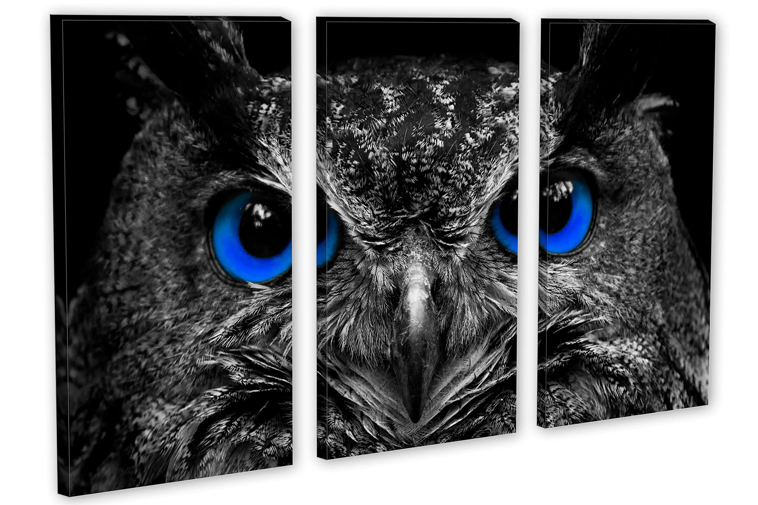 60 x 40 TOTAL - Dark Blue Eyed Owl Canvas Print Wall Art | 3 Panel Split Triptych | Bird Art Decor for Living Room, Bedroom & Office
